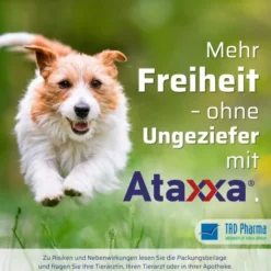 Ataxxa 2000 mg-400 mg Lösung zum Auftropfen für Hunde über 25 kg 3 Pipetten