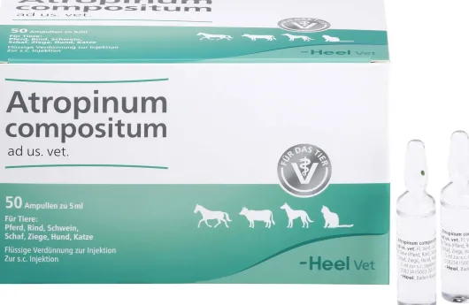 Atropinum Compositum vet. 50 Ampullen
