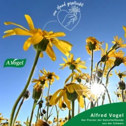 A.Vogel Atrosan Arnika Forte Gel 100 ml