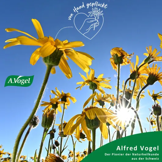A.Vogel Atrosan Arnika Forte Gel 100 ml