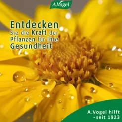 A.Vogel Atrosan Arnika Forte Gel 100 ml