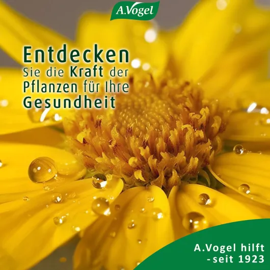 A.Vogel Atrosan Arnika Forte Gel 100 ml