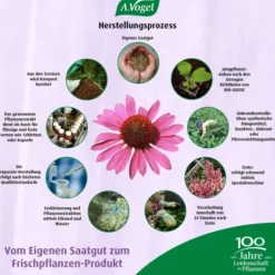 A.Vogel Salviaforce Mit Echinacea 20 Pastillen