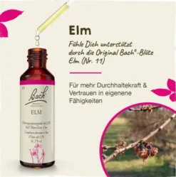 Bachblüten Elm 20 ml Tropfen