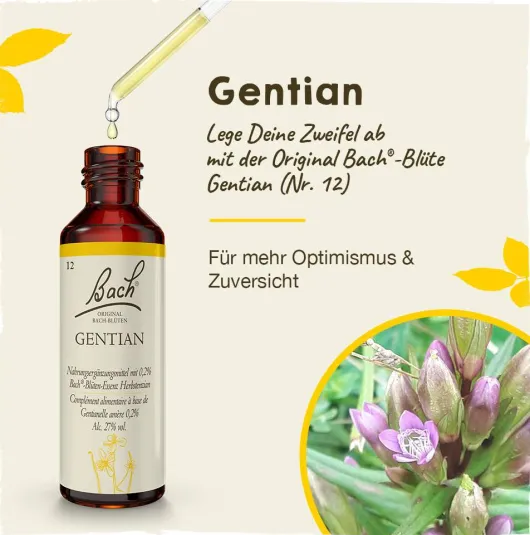 Bachblüten Gentian 20 ml Lösung