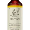 Bachblüten Gentian 20 ml Tropfen