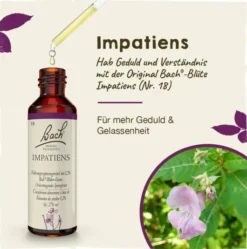 Bachblüten Impatiens 20ml Tropfen