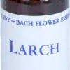 Bachblüten Larch Healing Herbs Tropfen 10 ml