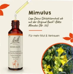 Bachblüten Mimulus