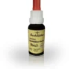 Bachblüten Murnauer Beech 20 ml Tropfen