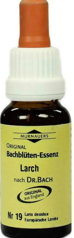Bachblüten Murnauer Tropfen Larch 20 ml Tropfen