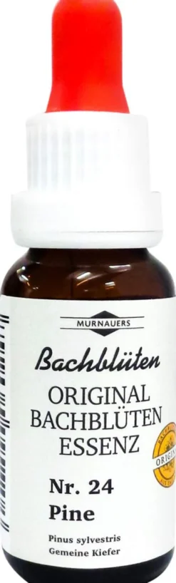 Bachblüten Murnauer Tropfen Pine