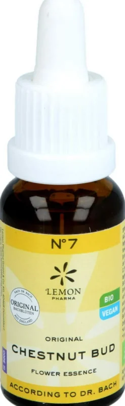 Bachblüten No.7 Chestnut Bud Bio 20 ml