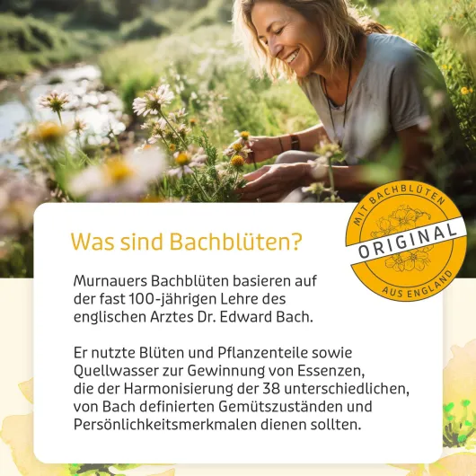 Bachblüten Original 20 ml Tropfen Ohne Alkohol Nach Dr. Bach
