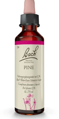 Bachblüten Pine 20 ml Tropfen