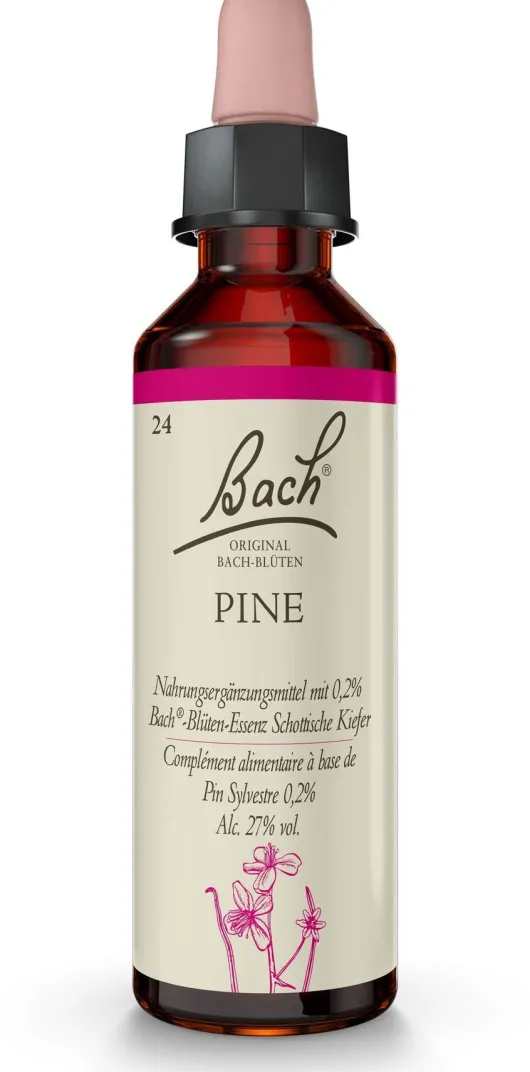 Bachblüten Pine 20 ml Tropfen