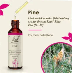 Bachblüten Pine 20 ml Tropfen