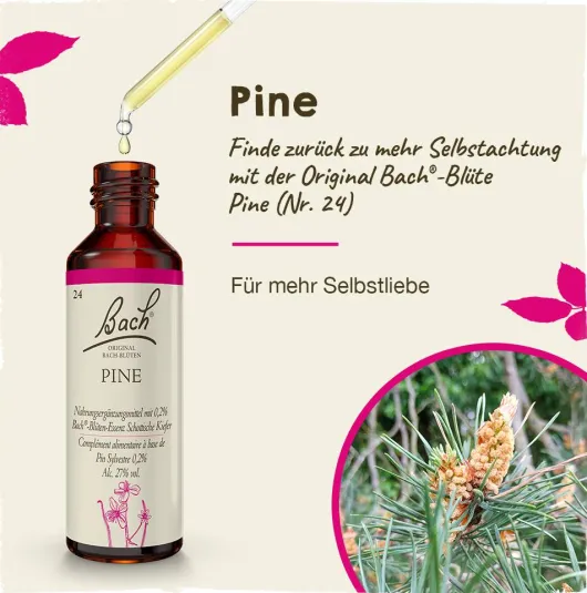 Bachblüten Pine 20 ml Tropfen