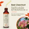 Bachblüten Red Chestnut 20 ml Tropfen