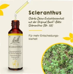 Bachblüten Scleranthus 20 ml Tropfen