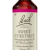 Bachblüten Sweet Chestnut 20 ml Tropfen