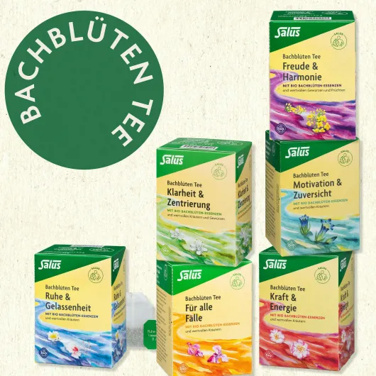 Bachblüten Tee Freude & Harmonie Bio 15 Filterbeutel