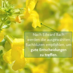 Bachblütentee Klarheit & Zentrierung 15 Filterbeutel