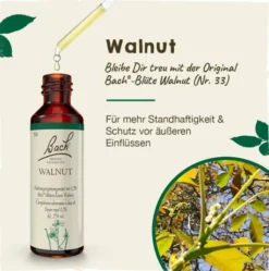Bachblüten Walnut 20ml Tropfen