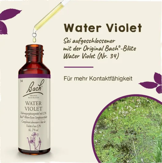 Bachblüten Water Violet 20 ml Tropfen