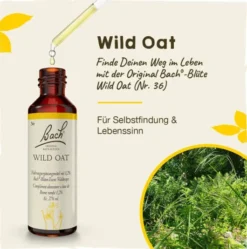 Bachblüten Wild Oat 20 ml Tropfen