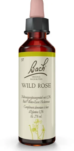 Bachblüten Wild Rose 20 ml Tropfen