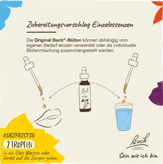 Bachblüten Willow 20 ml Tropfen