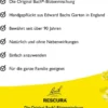 Bach Original Rescura mit Alkohol 10 ml Tropfen