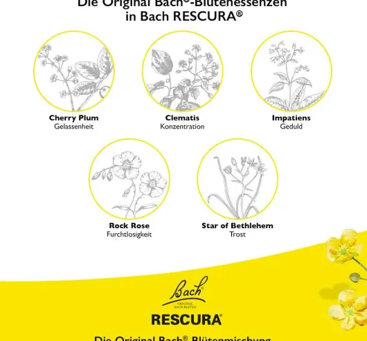 Bach Original Rescura Night Beere 60 Weichgummis