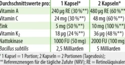 Bacillus Subtilis Plus Dr.Jacob s 60 Kapseln