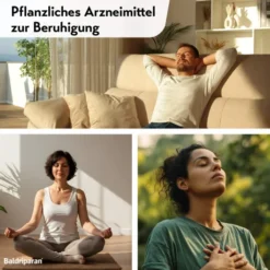 Baldriparan zur Beruhigung 60 überzogene Tabletten