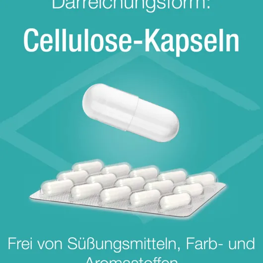 Basenpulver Verla purKaps 60 Kapseln