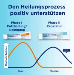 Bepanthen Wund und Heilsalbe 100 g + Antiseptische Wundcreme 20 g