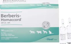 Berberis Homaccord Ad Us.Vet.Ampullen 50 X 5 ml