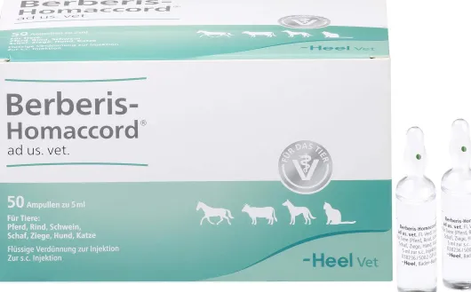 Berberis Homaccord Ad Us.Vet.Ampullen 50 X 5 ml