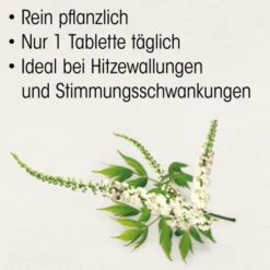 Böhm Traubensilberkerze 6,5 mg 60 Filmtabletten