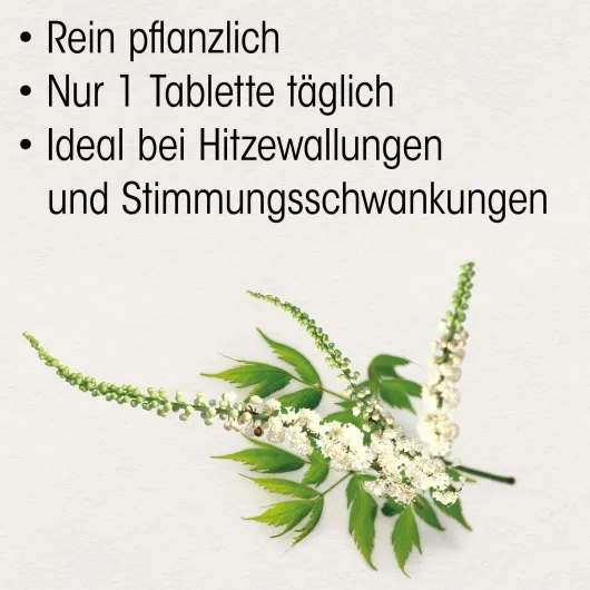 Böhm Traubensilberkerze 6,5 mg 60 Filmtabletten