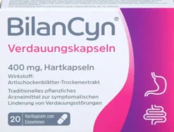 Bilancyn Verdauungskapseln 20 Hartkapseln