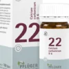 Biochemie Pflüger 22 Calcium Carbonicum D6 100 Tabletten