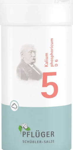 Biochemie Pflüger 5 Kalium Phosphoricum D6 100 G Pulver