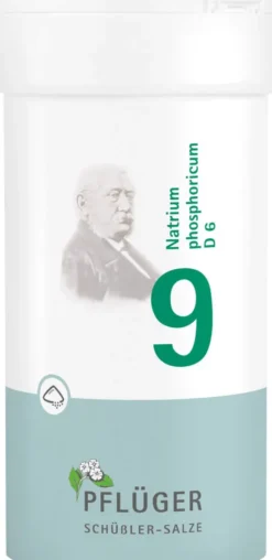 Biochemie Pflüger 9 Natrium Phosphoricum D6 100 G Pulver