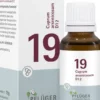 Biochemie Pflüger Nr. 19 Cuprum Arsenicosum D12 15 G Globuli