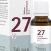 Biochemie Pflüger Nr. 27 Kalium Bichromicum D12 15 G Globuli