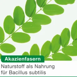 Bioticloges Subtilis 15 Kapseln