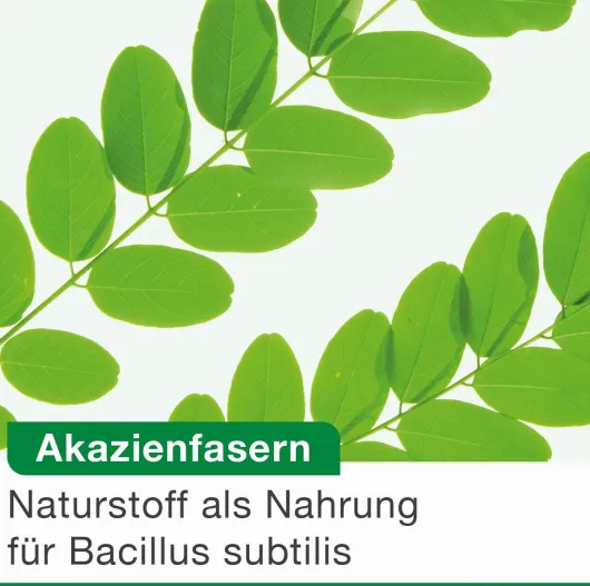 Bioticloges Subtilis 15 Kapseln